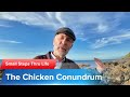 The Chicken Conundrum: Decoding Generalizations for Personal Growth