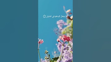سورة الفيل. #قرآن #قرآن_كريم #قران_كريم #آيات #quran #ayat #الفيل #سورة_الفيل
