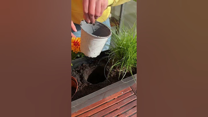 Balkon bepflanzen leicht gemacht 🌻👨‍🌾 #trick17 #balkon #lifehacks #gartentipps