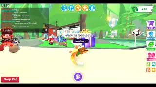 I Got The New Flaming Fox In Adopt Me