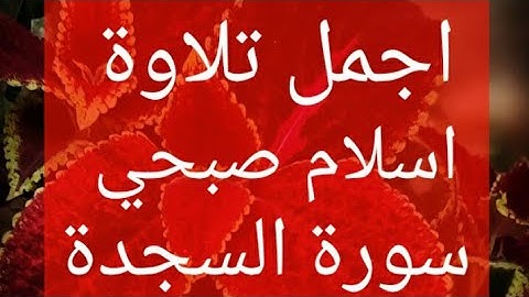 اسلام صبحي سورة السجدة تلاوة رائعه