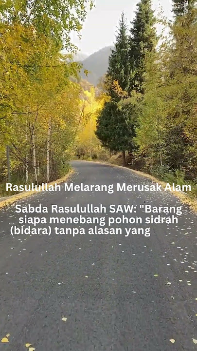 Rasulullah Melarang Merusak Alam #Hadith #IslamicTeachings #IslamicWisdom