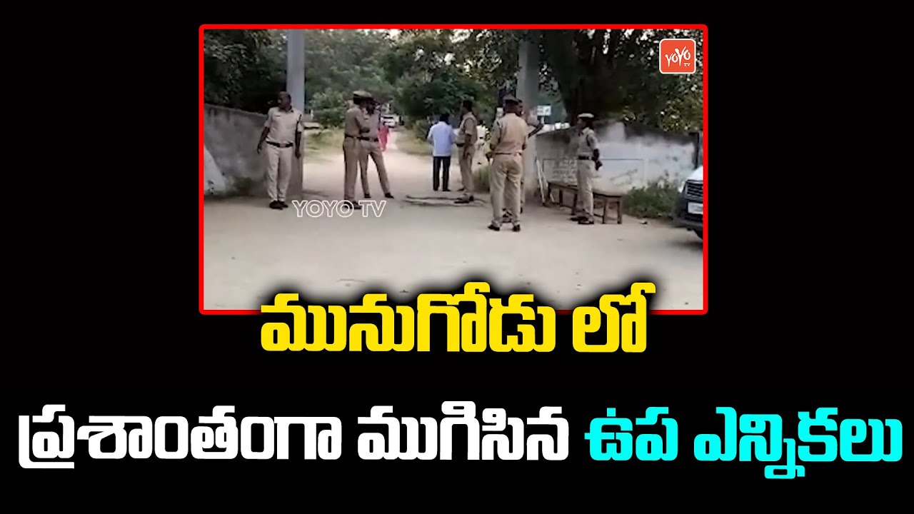 Munugodu Polling News | Munugodu By Election | Rajagopal Reddy VS CM KCR | YOYO TV NEWS