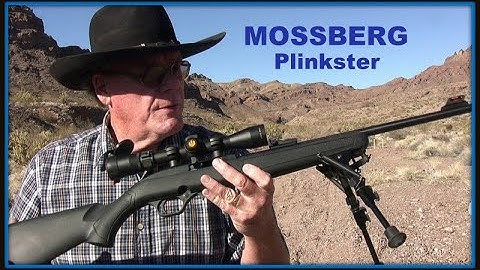 Cover Image for Mossberg 702 Plinkster .22 Rifle - Best $120 I Ever Spent !!!