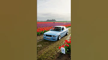 Simp E30 Bmw Shorts Caredit Bmwm Viral Bmwlovers Edit Assettocorsa Driftedit Bmwe30 