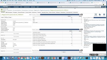 Viewing your annotated genome in PATRIC