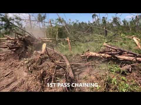 CHAINING FLORIDA PANHANDLE HURRICANE DAMAGED LAND