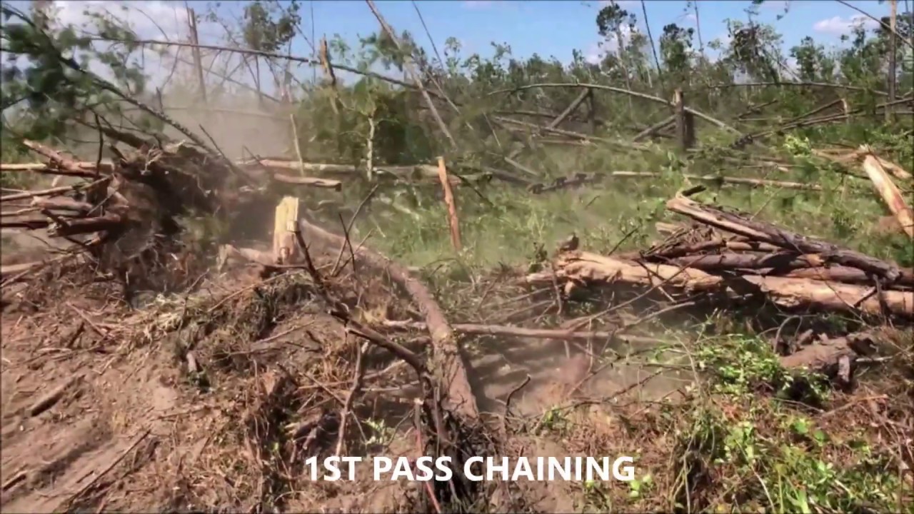 CHAINING FLORIDA PANHANDLE HURRICANE DAMAGED LAND