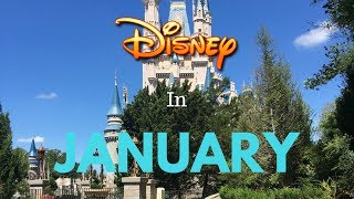 Visiting Disney World in January