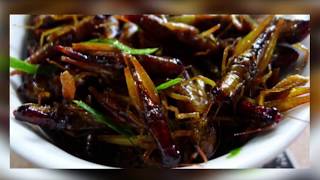 How to catch and cook grasshoppers in Vietnam