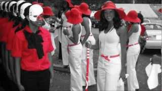 Waiting to Exhale: The Lambda Psi Chapter of Delta Sigma Theta Sorority Inc.