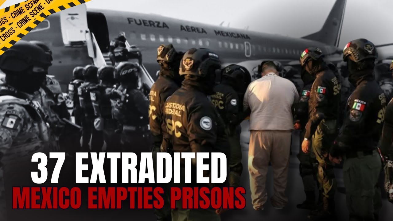 Срочная новость: Мексика передала Трампу 37 глав наркокартелей.