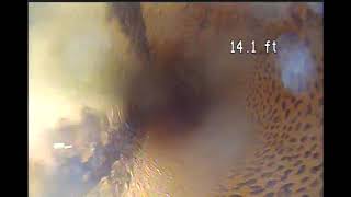 Invoice 63597 2