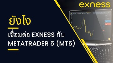 วิธีเชื่อมต่อ Exness กับ MetaTrader 5 (MT5) | 2025