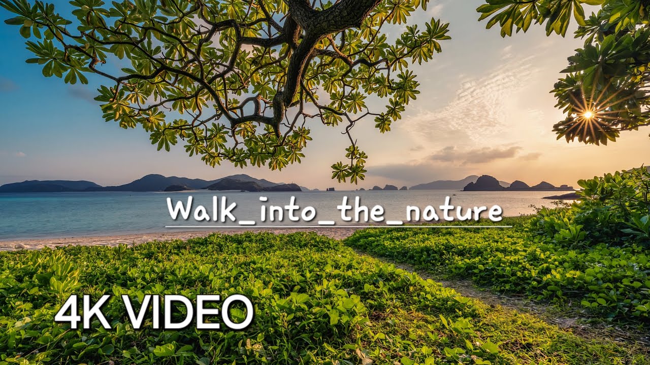 4K VIDEO WALK_INTO_THE_NATURE 📹 - YouTube
