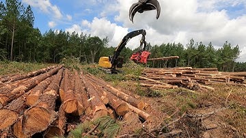 Tigercat 855e and Waratah 624c processor