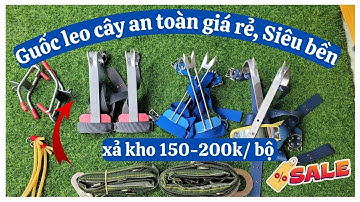 Bộ dụng cụ leo cây AN TOÀN GIÁ RẺ / dụng cụ trèo dừa / guốc trèo cây 2 đinh
