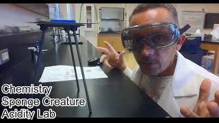 Sponge Creature Acidity Lab