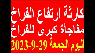 أسعار الفراخ اليوم | سعر الفراخ البيضاء اليوم الجمعة 29-9-2023 جمله وقطاعي