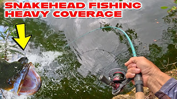 Snakehead Fishing in Difficult Coverage and HEAVY Overhanging Foliage! 😨