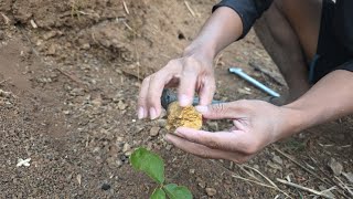 I Bought $1,000 Of Dirt To Find Gold!