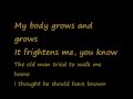 U2-Twilight (Lyrics)