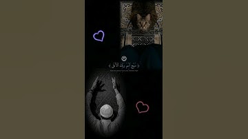 𝑸𝒖𝒓𝒂𝒏♡أكتب شيء تؤجر عليه|#عبدالرحمن_مسعد#راحة_نفسية#سورة الاعلی#viral🖤🕋