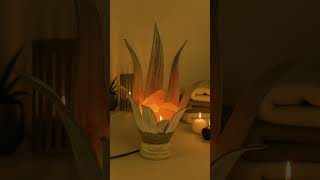 Lampade Di Sale Voganto