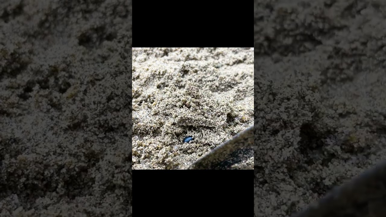 💥 Top DIY Tractors Having Trouble with Running Out of Gas | Planting and harvesting @CSG