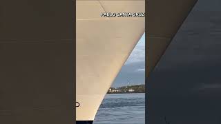 Cruise Ship Arrives At New York City Port With 44-Foot Dead Whale Stuck To Bow