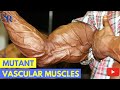 💪 5 Proven Tips To Get Bigger, Harder, More Vascular Muscles - by Dr Sam Robbins