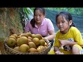 Rainstorm crisis harvesting vegetables  melons  luu linh building new life