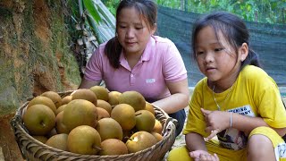 Rainstorm crisis, Harvesting vegetables & melons  Luu Linh Building New Life