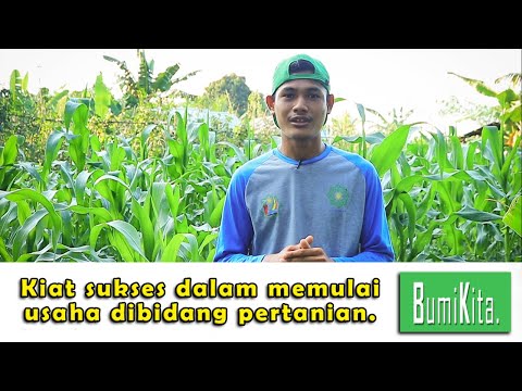 Video: Bagaimana Memulai Bisnis Anda Sendiri Di Bidang Pertanian