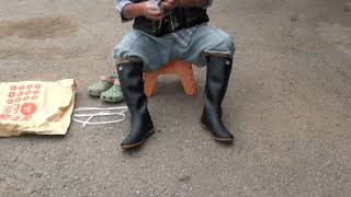 田植え長靴の履き方　22/06/15 Vol.2216