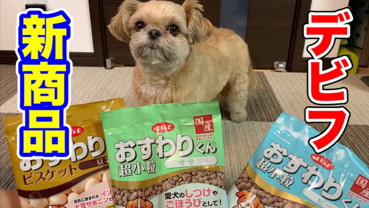 チワシーむぎ Youtube Channel Analytics And Report Powered By Noxinfluencer Mobile