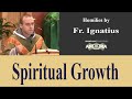 Spiritual Growth - Jun 17 - Homily - Fr Ignatius