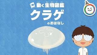 動く生物図鑑　クラゲのお話