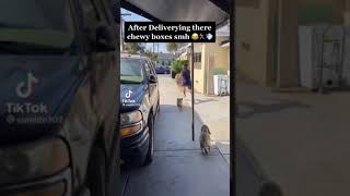 DOGS CHASING DELIVERY DRIVERS FUNNY MOMENTS 2023 🤣 | Funny TikTok Compilation (Try Not To Laugh) #2