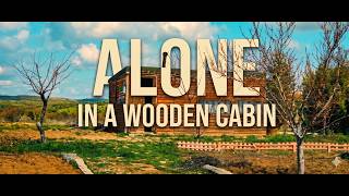 A Little Break from Everything, I Tried Living Alone in a Cabin screenshot 5
