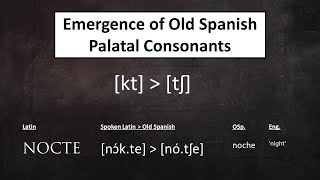 Evolution of Spanish from Latin: Palatal Consonants