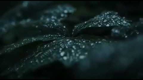 وَتَحْسَبُهُمْ أَيْقَاظًا وَهُمْ رُقُودٌ ۚ (الكهف) تلاوة الشيخ محمد صديق المنشاوي