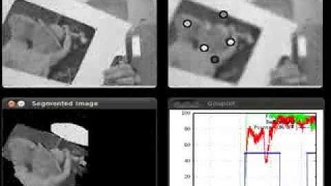 Real Time Interactive Image Segmentation Using User Indicated Real-World Seeds
