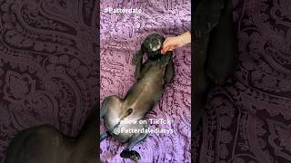 Were On Tiktokplease Follow