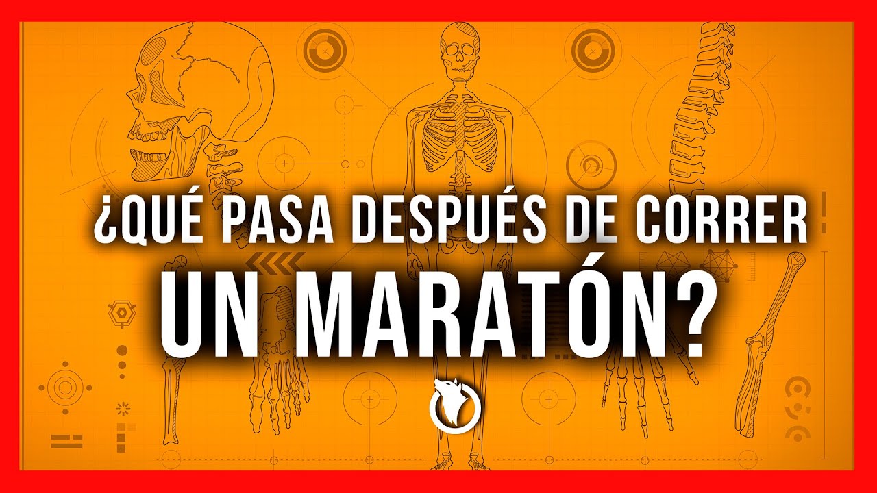 ¿Qué pasa en el cuerpo después de correr un Maratón?