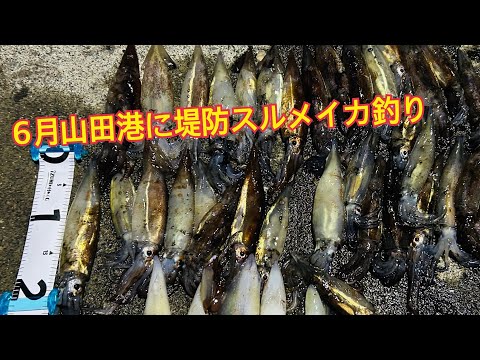 にわか釣り師 ニワカ釣り師 - YouTube