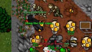Rookgaard Trap - Wasp Tower (Luminera)