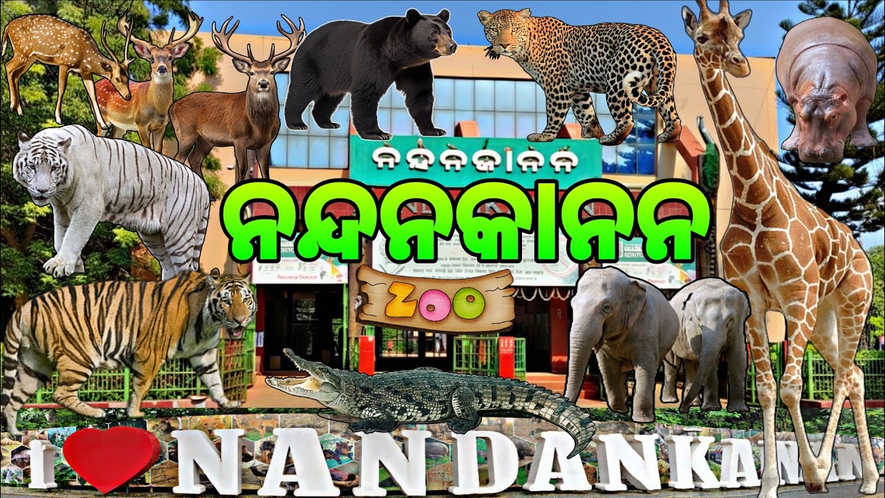 Nandankanan Zoological Park - 2nd Largest Zoo in India | Bhubaneswar #nandankanan #PrabhatTravelVlog