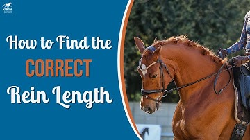 Do You Need Shorter Reins?