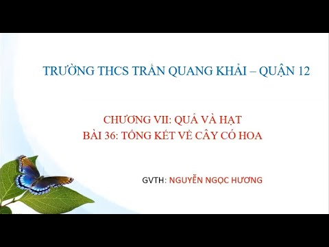 Sinh học 6 - Bài 36: Tổng kết cây có hoa